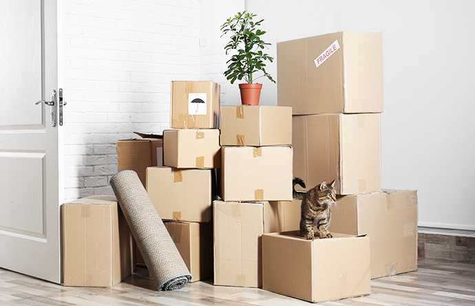 5 Tips On How To Pack a Removal Box